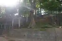 高稲荷神社(東京都)