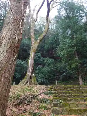 熊野大社(島根県)
