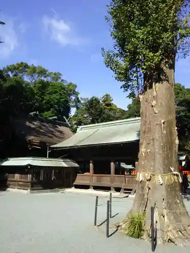 宗像大社中津宮の本殿・本堂