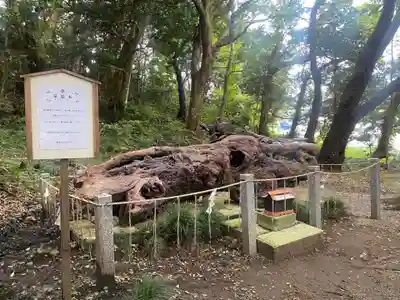 泉神社(茨城県)