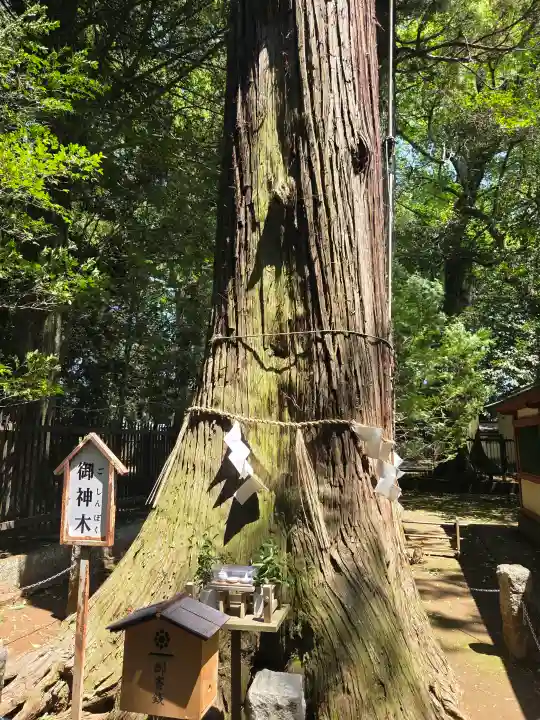 一言主神社の{uncategorized: "未分類", other: "その他", undefined: "問題あり", building: "その他建物", grave: "お墓", sacred_gate: "鳥居", guardian: "狛犬", statue: "像", buddha: "仏像", history: "歴史", nature: "自然", garden: "庭園", animal: "動物", pagoda: "塔", temizu: "手水舎", mountain_gate: "山門・神門", sanctuary: "本殿・本堂", subordinate: "末社・摂社", art: "芸術", scenery: "景色", jizo: "地蔵", ema: "絵馬", goshuin: "御朱印", omikuji: "おみくじ", items: "授与品その他", amulet: "お守り", goshuincho: "御朱印帳", eats: "食事", festival: "お祭り", votive_dance: "神楽", shichigosan: "七五三参", wedding: "結婚式", experience: "体験その他", initially: "初詣", around: "周辺", anti_infection: "感染症対策"}