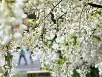 善光寺(長野県)