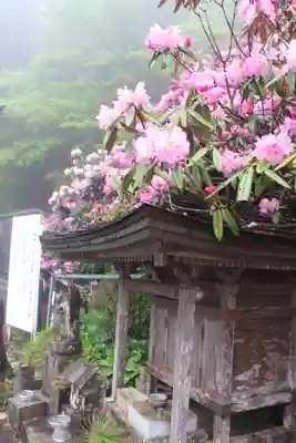 横峰寺のその他建物