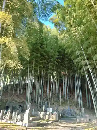 香林寺(神奈川県)