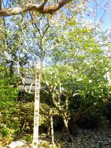 安國論寺（安国論寺）の自然