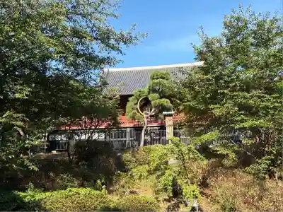 清水観音堂の自然