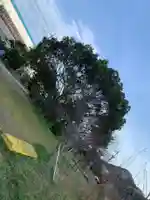 猿田彦大神の庭園