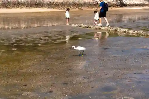 厳島神社(広島県)