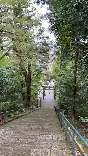 埴生護國八幡宮の鳥居