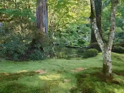 三千院門跡(京都府)