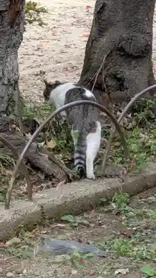 花山稲荷神社(京都府)
