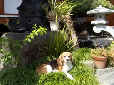 大念寺(大阪府)