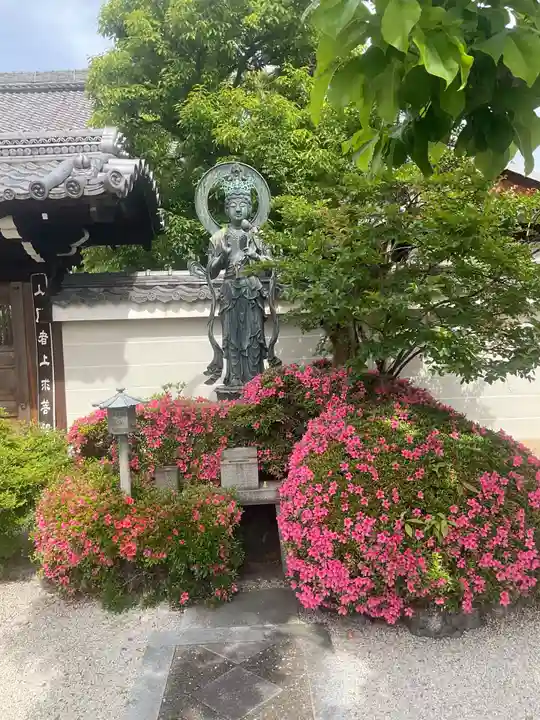 宗仙寺(京都府)