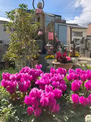 哀愍寺(ちぎり地蔵尊)(大阪府)