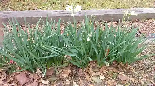 比佐豆知神社の自然