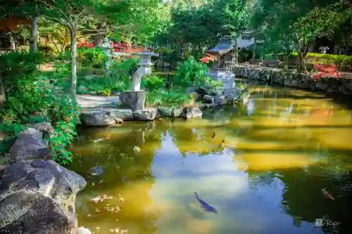 伊弉諾神宮(兵庫県)