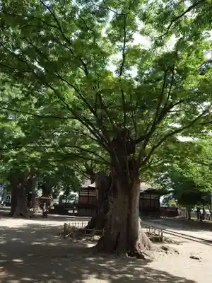 美和神社(長野県)
