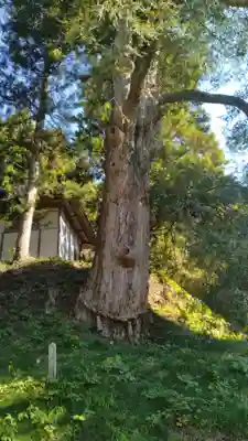 福応寺(宮城県)