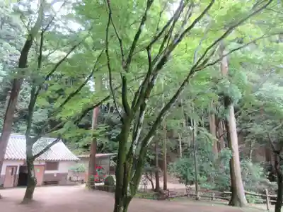 圓教寺(兵庫県)