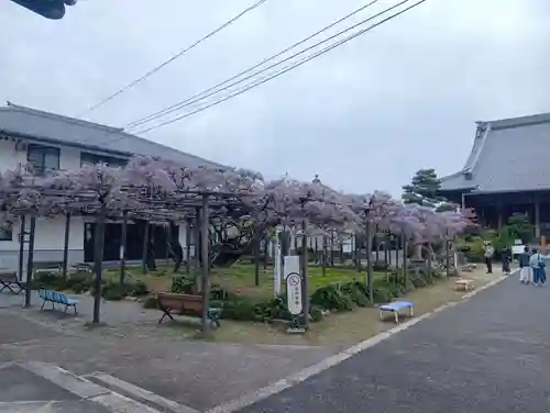竹鼻別院(岐阜県)