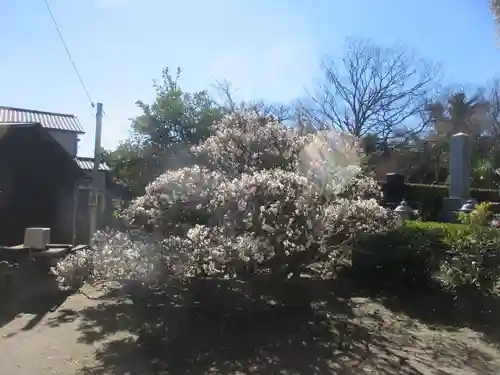 清傳寺(神奈川県)