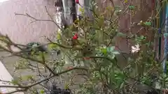 神明社（国府宮神明社）の周辺