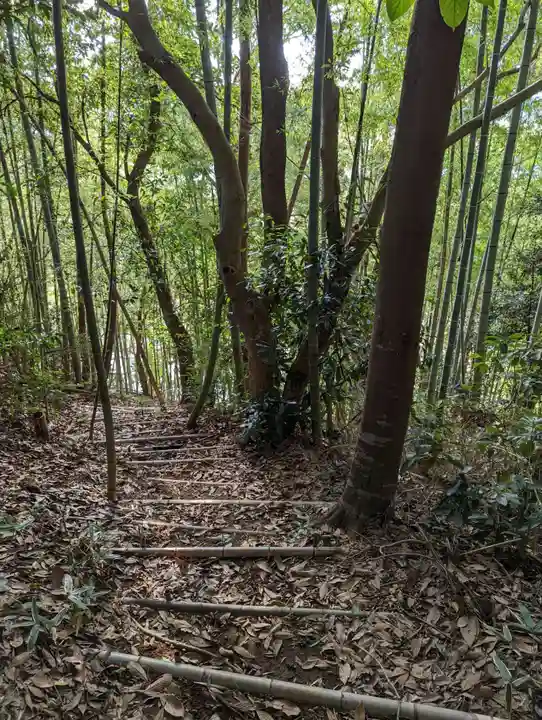 御嶽神社の自然