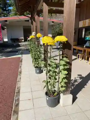 乃木神社(栃木県)