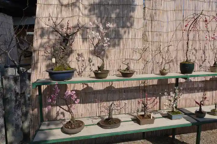 菅原天満宮(菅原神社)(奈良県)