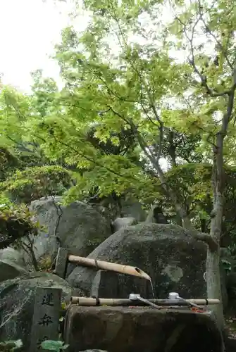 円通寺の手水舎