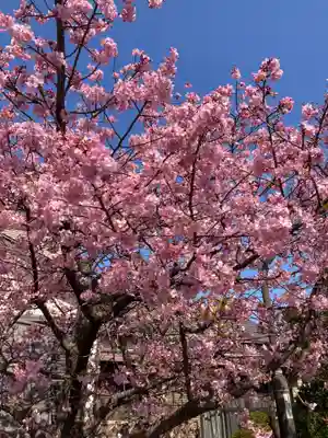 善福寺(神奈川県)