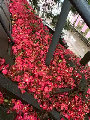 前玉神社(埼玉県)