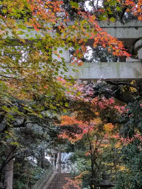 赤坂氷川神社(東京都)
