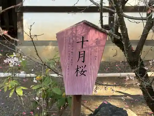 平野神社(京都府)