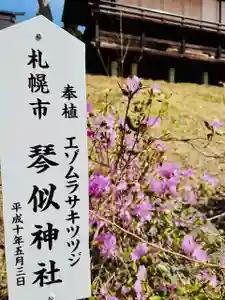 土津神社|こどもと出世の神さま(福島県)(2026年04月13日(月) 17時17分09秒投稿)