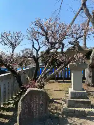 祖母井神社の{uncategorized: "未分類", other: "その他", undefined: "問題あり", building: "その他建物", grave: "お墓", sacred_gate: "鳥居", guardian: "狛犬", statue: "像", buddha: "仏像", history: "歴史", nature: "自然", garden: "庭園", animal: "動物", pagoda: "塔", temizu: "手水舎", mountain_gate: "山門・神門", sanctuary: "本殿・本堂", subordinate: "末社・摂社", art: "芸術", scenery: "景色", jizo: "地蔵", ema: "絵馬", goshuin: "御朱印", omikuji: "おみくじ", items: "授与品その他", amulet: "お守り", goshuincho: "御朱印帳", eats: "食事", festival: "お祭り", votive_dance: "神楽", shichigosan: "七五三参", wedding: "結婚式", experience: "体験その他", initially: "初詣", around: "周辺", anti_infection: "感染症対策"}