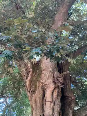雨引千勝神社(茨城県)