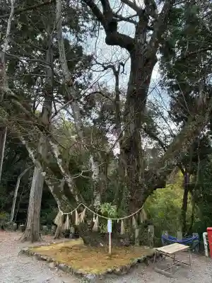 神峯山寺の{uncategorized: "未分類", other: "その他", undefined: "問題あり", building: "その他建物", grave: "お墓", sacred_gate: "鳥居", guardian: "狛犬", statue: "像", buddha: "仏像", history: "歴史", nature: "自然", garden: "庭園", animal: "動物", pagoda: "塔", temizu: "手水舎", mountain_gate: "山門・神門", sanctuary: "本殿・本堂", subordinate: "末社・摂社", art: "芸術", scenery: "景色", jizo: "地蔵", ema: "絵馬", goshuin: "御朱印", omikuji: "おみくじ", items: "授与品その他", amulet: "お守り", goshuincho: "御朱印帳", eats: "食事", festival: "お祭り", votive_dance: "神楽", shichigosan: "七五三参", wedding: "結婚式", experience: "体験その他", initially: "初詣", around: "周辺", anti_infection: "感染症対策"}