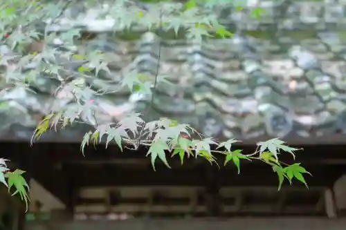 洲原神社(岐阜県)