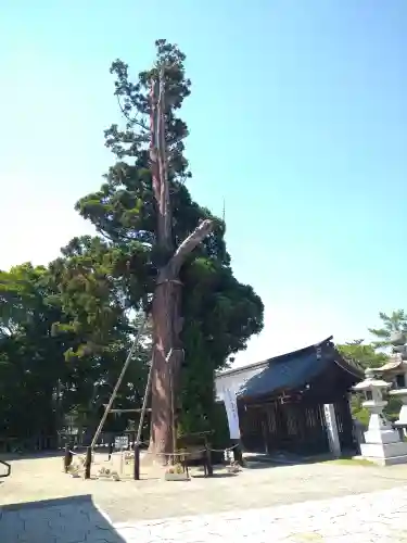 吉備津彦神社(岡山県)