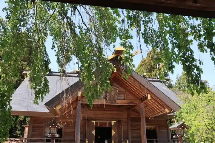 開成山大神宮の本殿・本堂