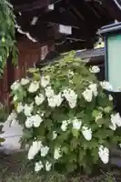 正楽寺(滋賀県)
