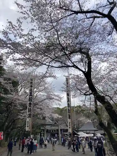 日枝神社の自然