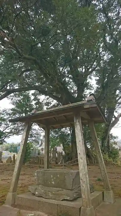 神宮寺の手水舎