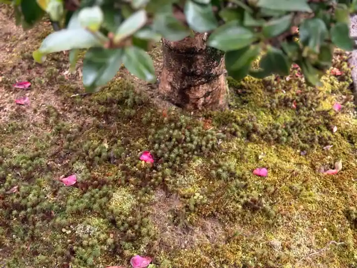 西方山極楽寺(岐阜県)