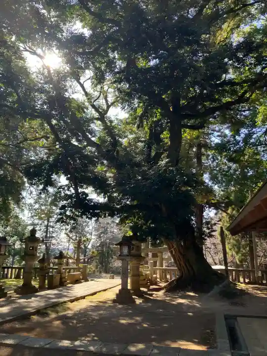 雨引千勝神社の{uncategorized: "未分類", other: "その他", undefined: "問題あり", building: "その他建物", grave: "お墓", sacred_gate: "鳥居", guardian: "狛犬", statue: "像", buddha: "仏像", history: "歴史", nature: "自然", garden: "庭園", animal: "動物", pagoda: "塔", temizu: "手水舎", mountain_gate: "山門・神門", sanctuary: "本殿・本堂", subordinate: "末社・摂社", art: "芸術", scenery: "景色", jizo: "地蔵", ema: "絵馬", goshuin: "御朱印", omikuji: "おみくじ", items: "授与品その他", amulet: "お守り", goshuincho: "御朱印帳", eats: "食事", festival: "お祭り", votive_dance: "神楽", shichigosan: "七五三参", wedding: "結婚式", experience: "体験その他", initially: "初詣", around: "周辺", anti_infection: "感染症対策"}