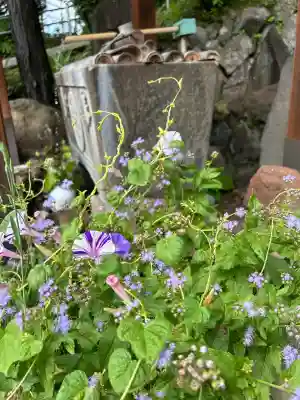 水神社(神奈川県)