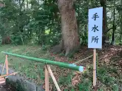 明治神宮の手水