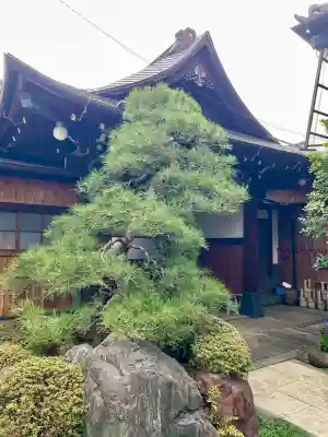 天眼寺(東京都)