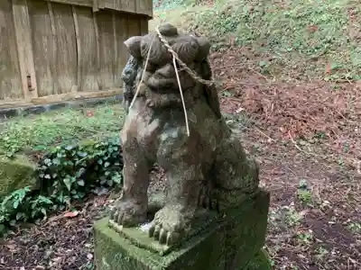 鶴ヶ峰八幡神社の狛犬